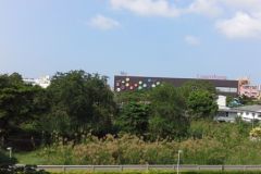 Dcondo Campus Resort Bangsaen 5/11