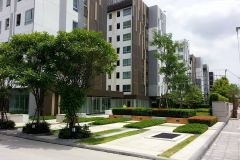 Condo for rent Rangsit and Ban 14/15