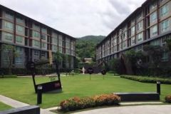 D condo campus resort