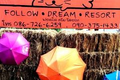 Follow dream resort 34/36