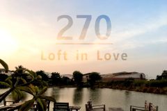 270 Loft in Love 12/17