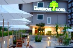 The Mangrove Hotel 16/17