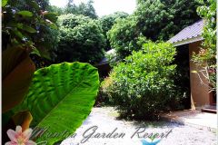 Muntra Garden Resort 7/17