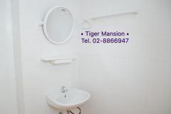 Tiger Mansion 8/17