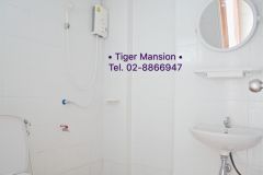 Tiger Mansion 6/17