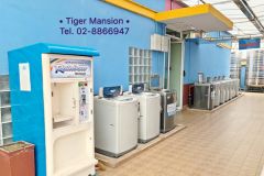 Tiger Mansion 14/17
