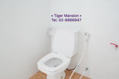 Tiger Mansion 7/17
