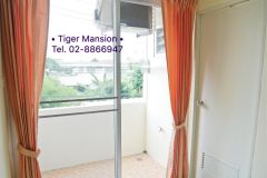 Tiger Mansion 5/17