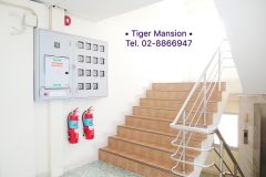 Tiger Mansion 10/17