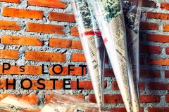 P’loft Hostel