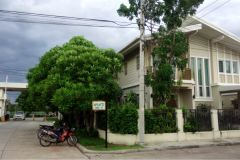 House for rent, Suvarnabhumi a 2/15