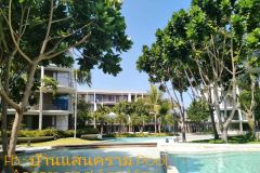 Special Unit Pool access Condo for rent
