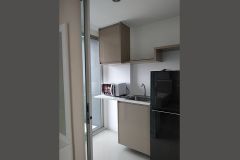 S1 Park Condo For Rent 4/6