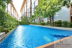 Room for rent at PLUM CONDO BA 12/14