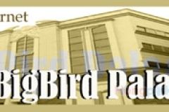 BigBird Palace 8/8
