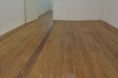Newly Renovated 2Bed2Bath Char 17/29