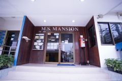 Rentini - M.S Mansion 2 9/10