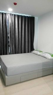 Condo for rent The Excel Groove Lasalle 52.